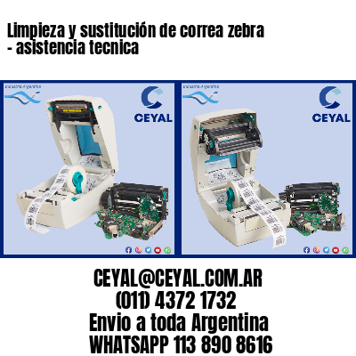 Limpieza y sustitución de correa zebra – asistencia tecnica