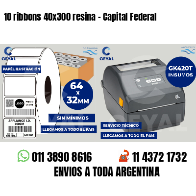 10 ribbons 40x300 resina - Capital Federal