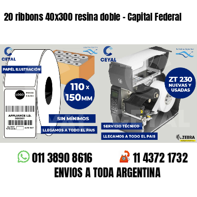 20 ribbons 40x300 resina doble - Capital Federal
