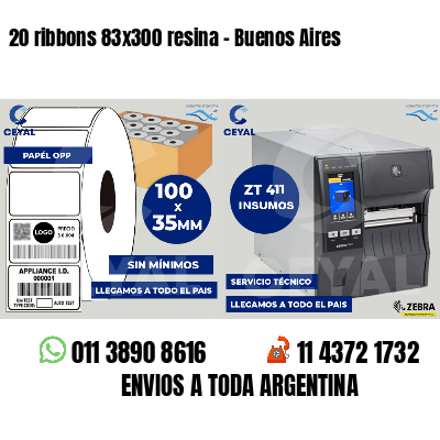 20 ribbons 83x300 resina - Buenos Aires