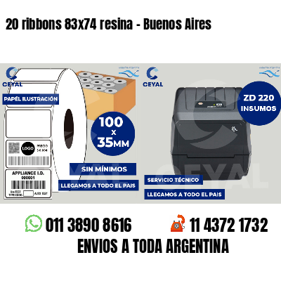 20 ribbons 83x74 resina - Buenos Aires
