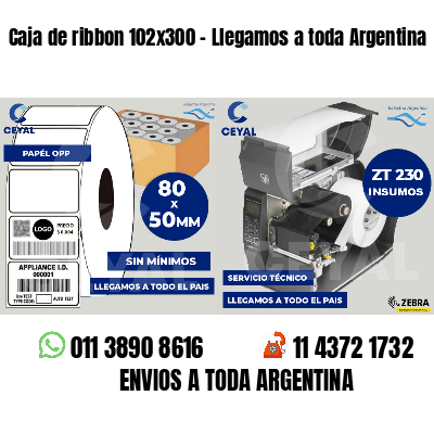 Caja de ribbon 102x300 - Llegamos a toda Argentina