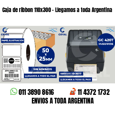 Caja de ribbon 110x300 - Llegamos a toda Argentina