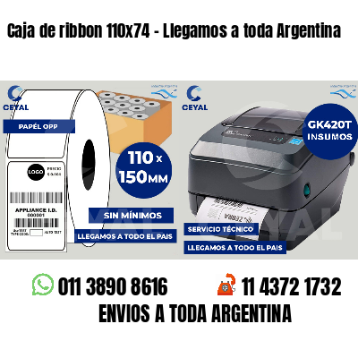 Caja de ribbon 110x74 - Llegamos a toda Argentina