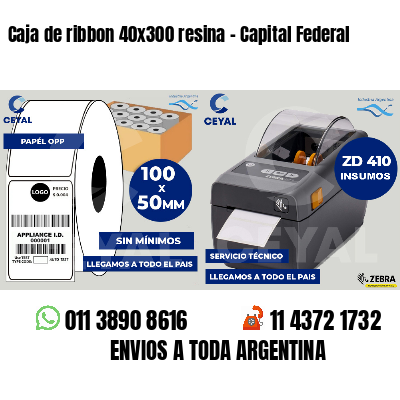 Caja de ribbon 40x300 resina - Capital Federal