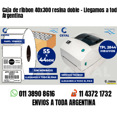 Caja de ribbon 40x300 resina doble - Llegamos a toda Argentina