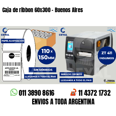 Caja de ribbon 60x300 - Buenos Aires