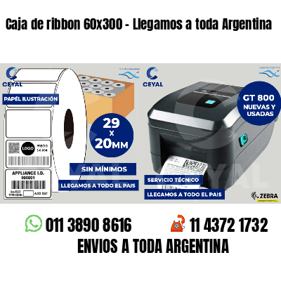 Caja de ribbon 60x300 - Llegamos a toda Argentina