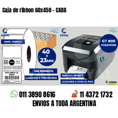 Caja de ribbon 60x450 - CABA