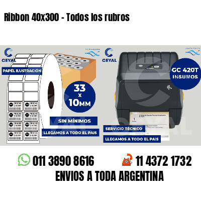 Ribbon 40x300 - Todos los rubros