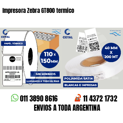 Impresora Zebra GT800 termico
