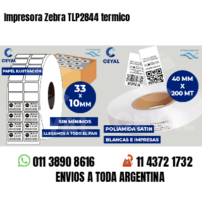 Impresora Zebra TLP2844 termico
