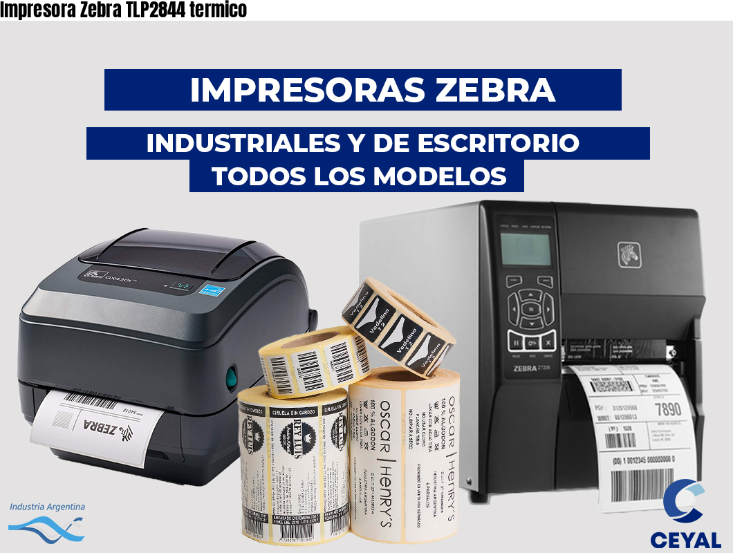 Impresora Zebra TLP2844 termico
