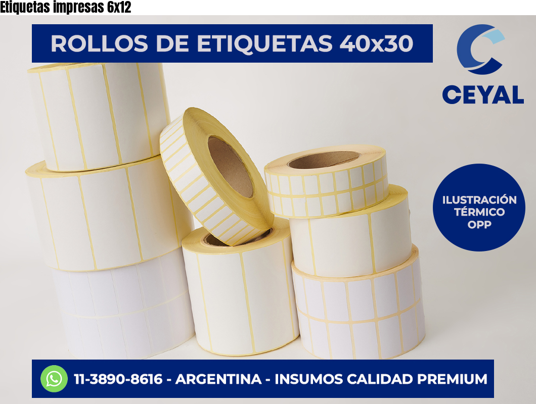 Etiquetas impresas 6×12