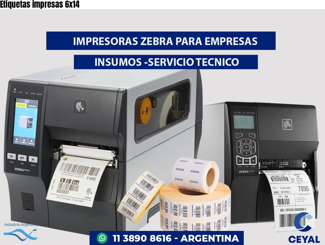 Etiquetas impresas 6x14
