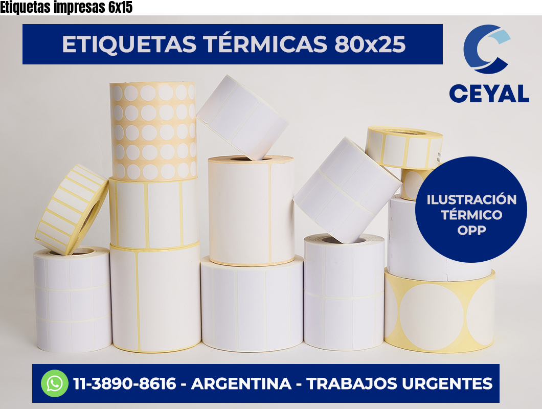Etiquetas impresas 6×15