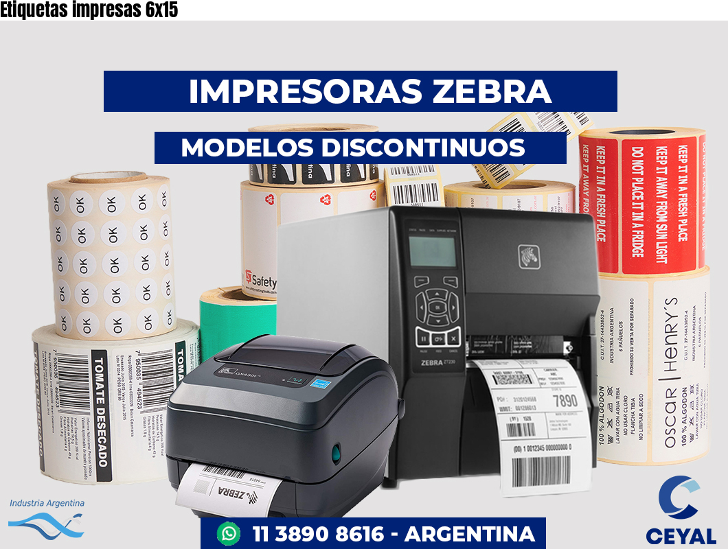 Etiquetas impresas 6x15