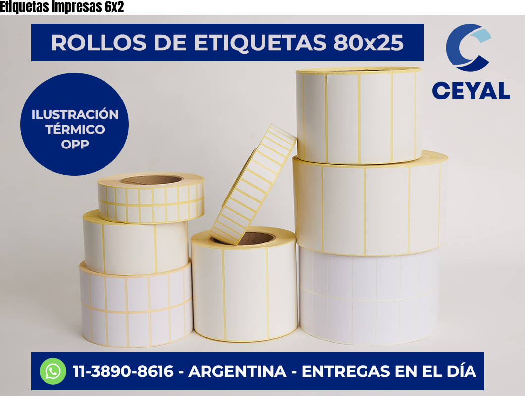Etiquetas impresas 6×2