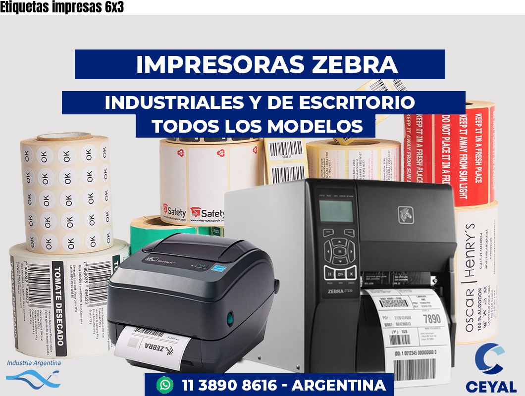 Etiquetas impresas 6x3