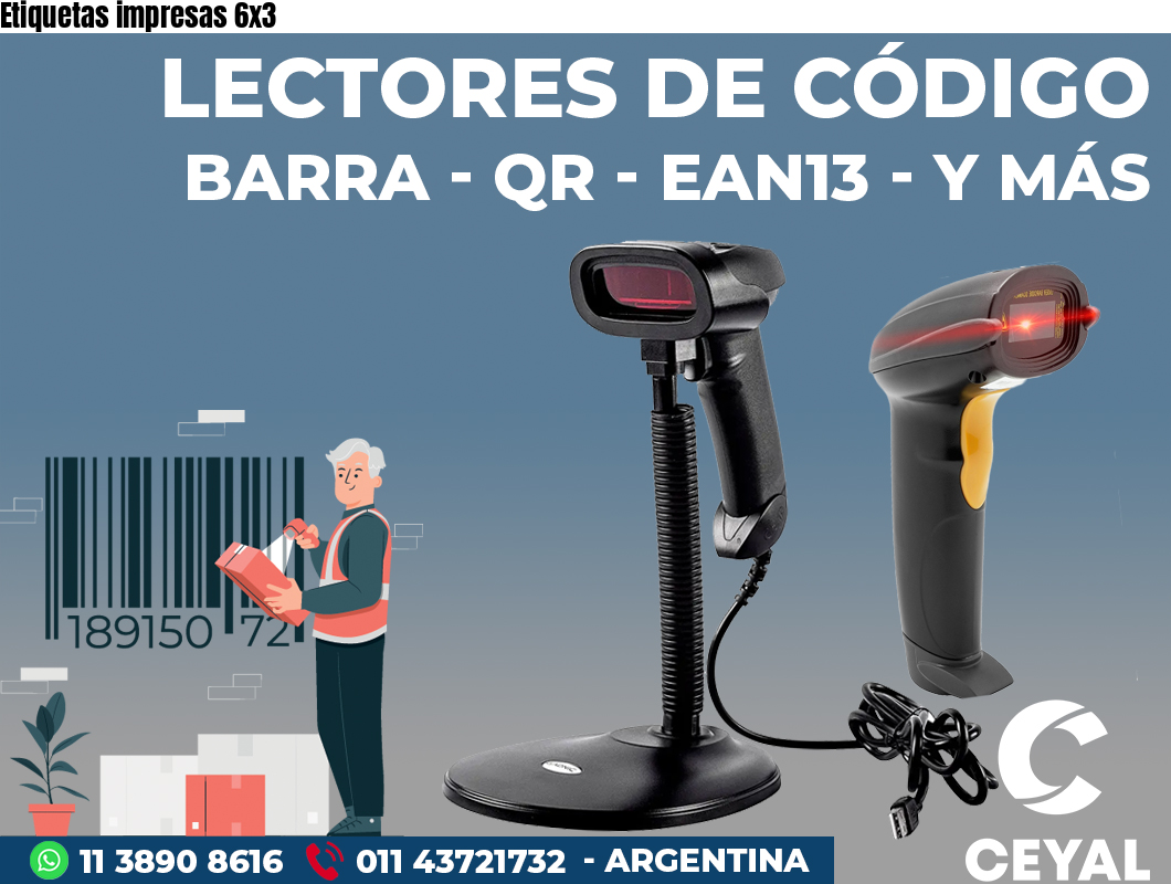 Etiquetas impresas 6x3