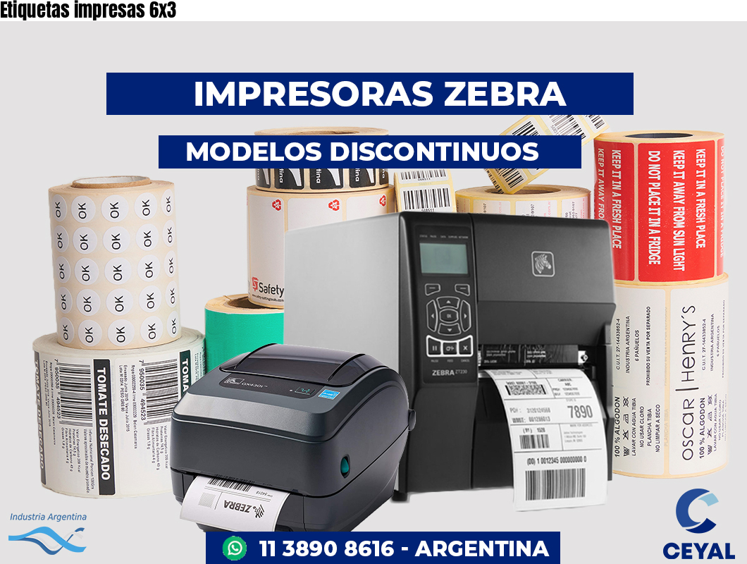 Etiquetas impresas 6x3