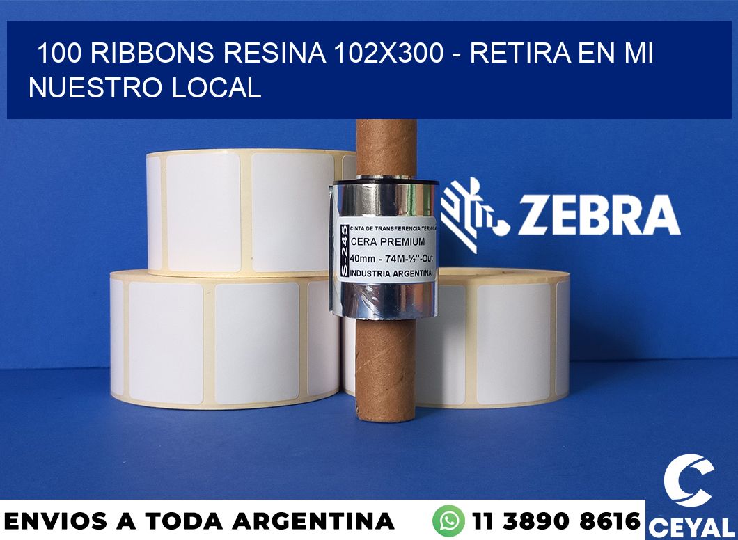 100 Ribbons resina 102x300 - retira en mi nuestro local
