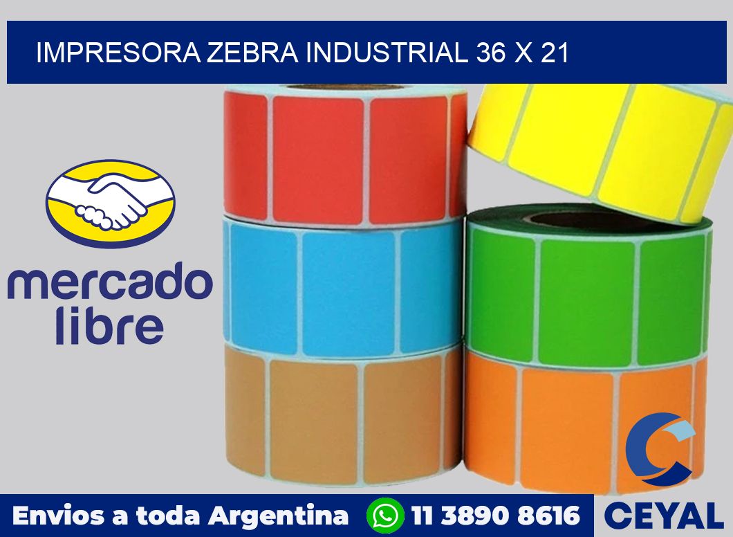 Impresora Zebra industrial 36 x 21