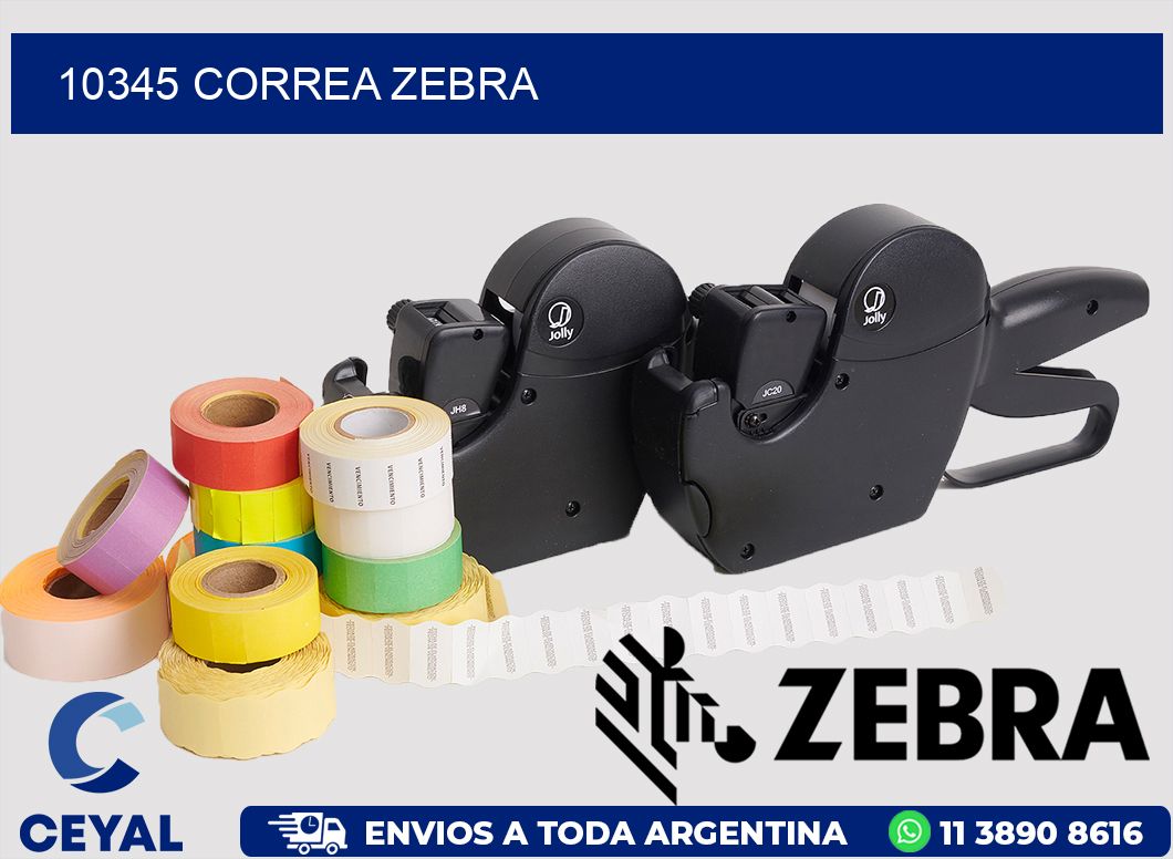 10345 CORREA ZEBRA