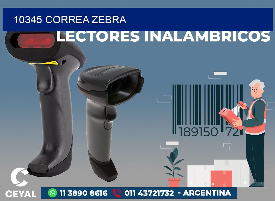 10345 CORREA ZEBRA