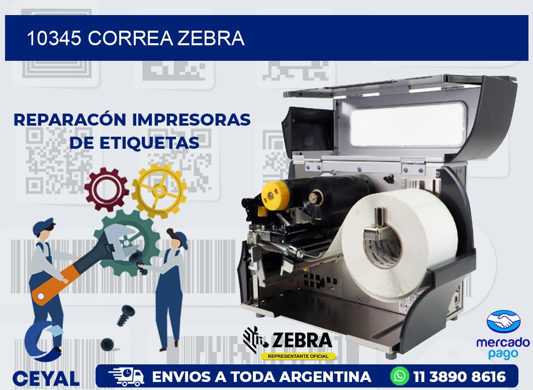 10345 CORREA ZEBRA