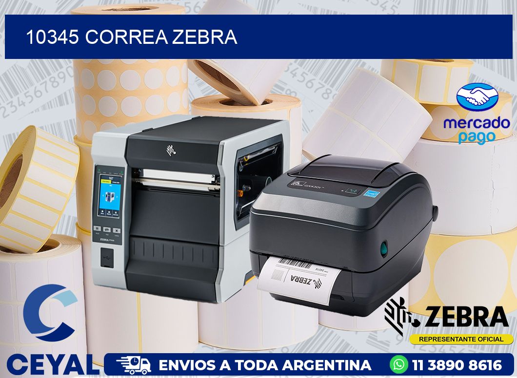 10345 CORREA ZEBRA