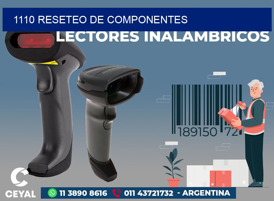 1110 RESETEO DE COMPONENTES