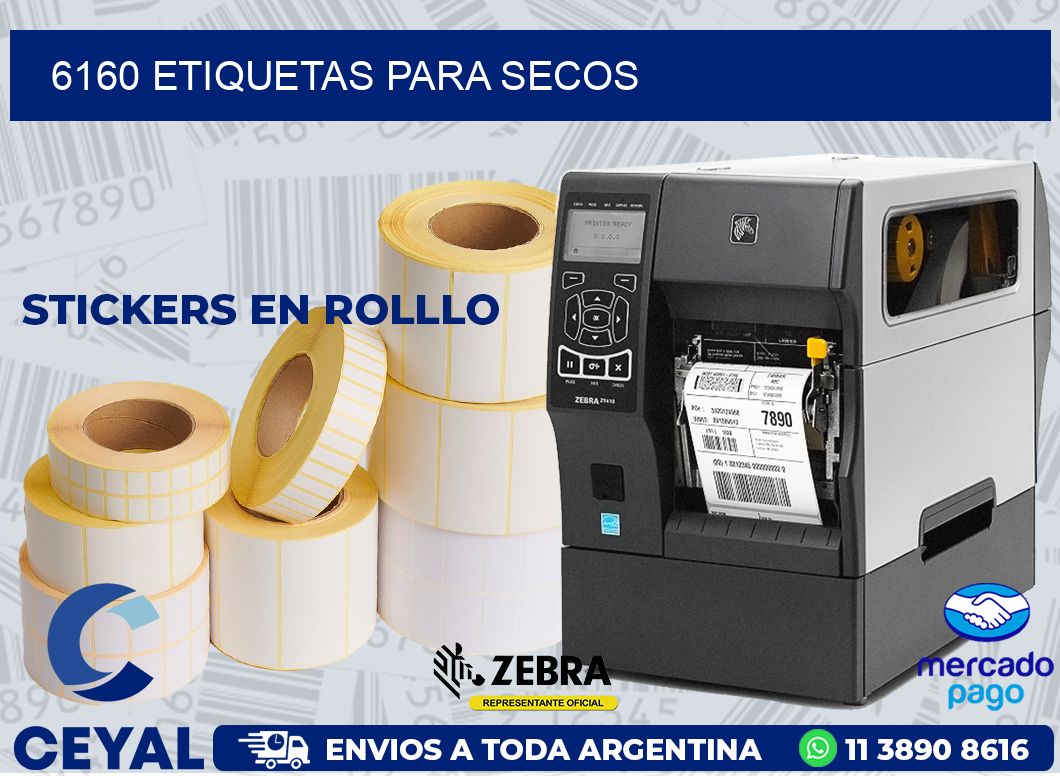 6160 ETIQUETAS PARA SECOS