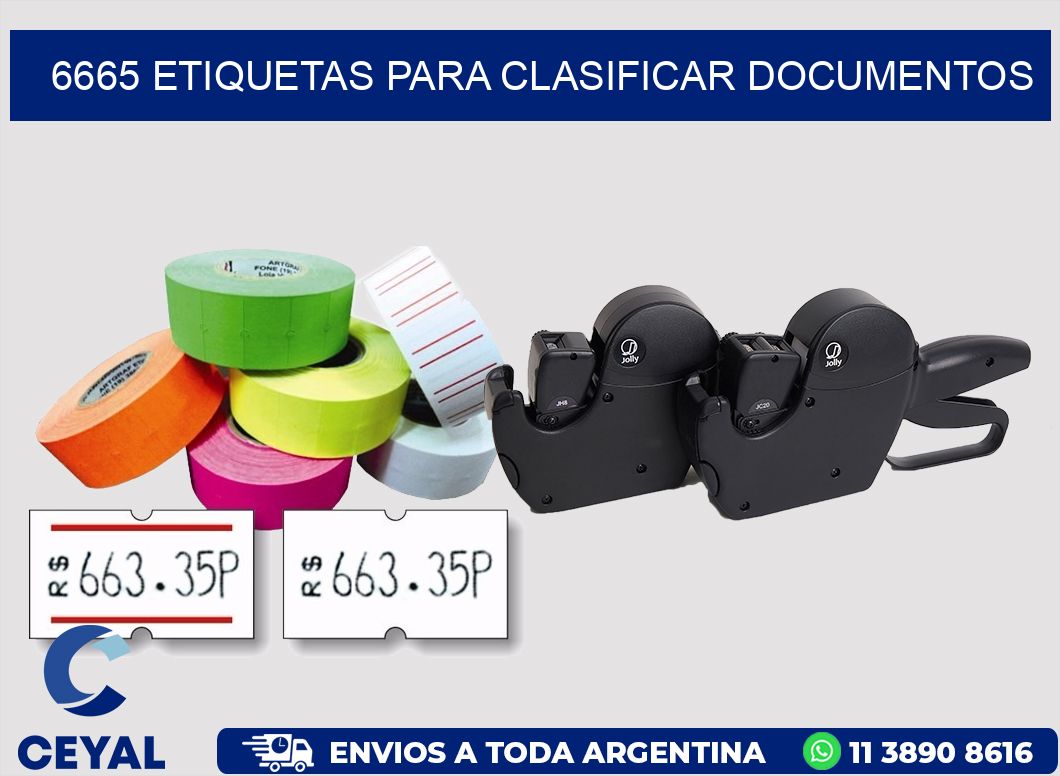 6665 ETIQUETAS PARA CLASIFICAR DOCUMENTOS