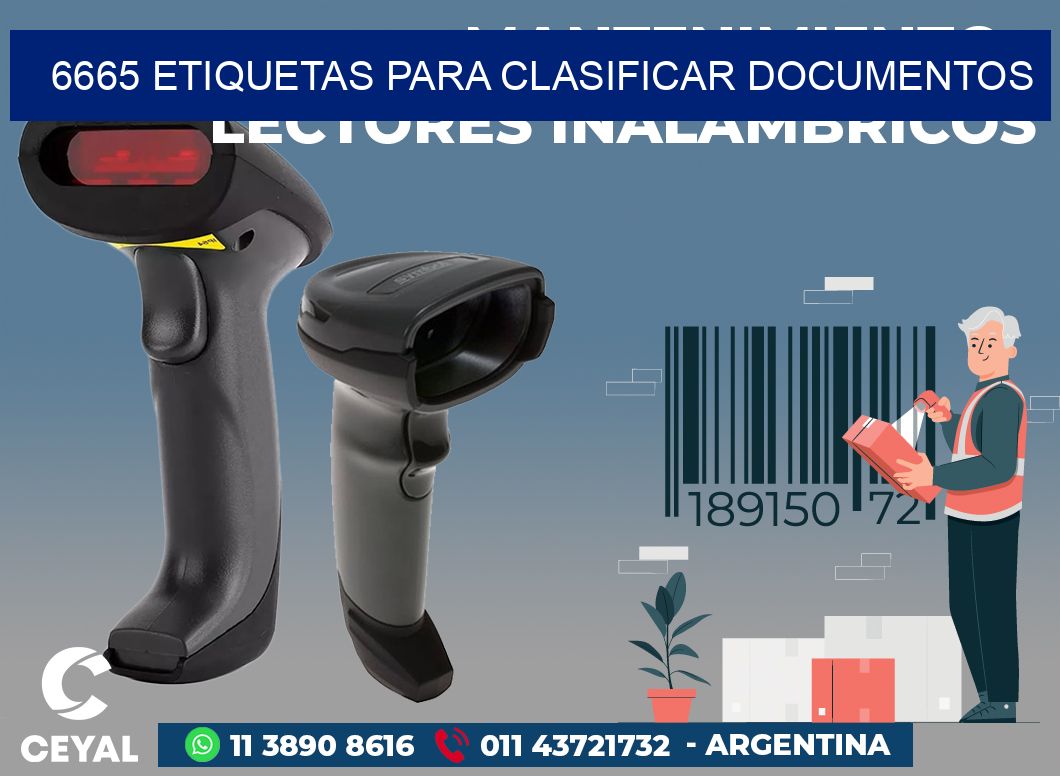 6665 ETIQUETAS PARA CLASIFICAR DOCUMENTOS