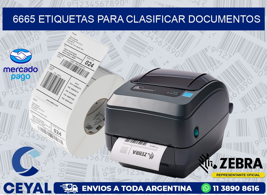 6665 ETIQUETAS PARA CLASIFICAR DOCUMENTOS