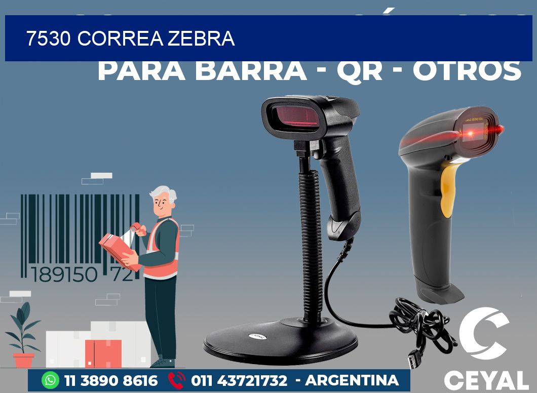7530 CORREA ZEBRA