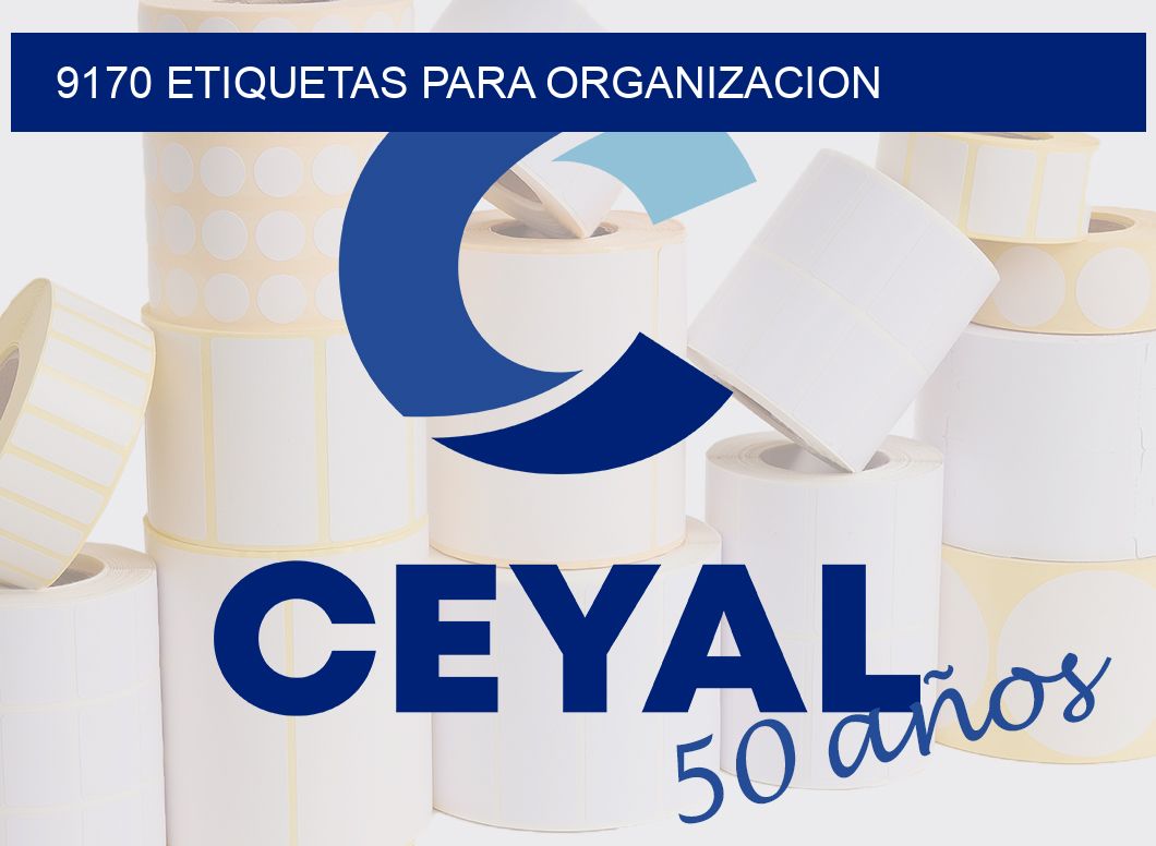 9170 ETIQUETAS PARA ORGANIZACION