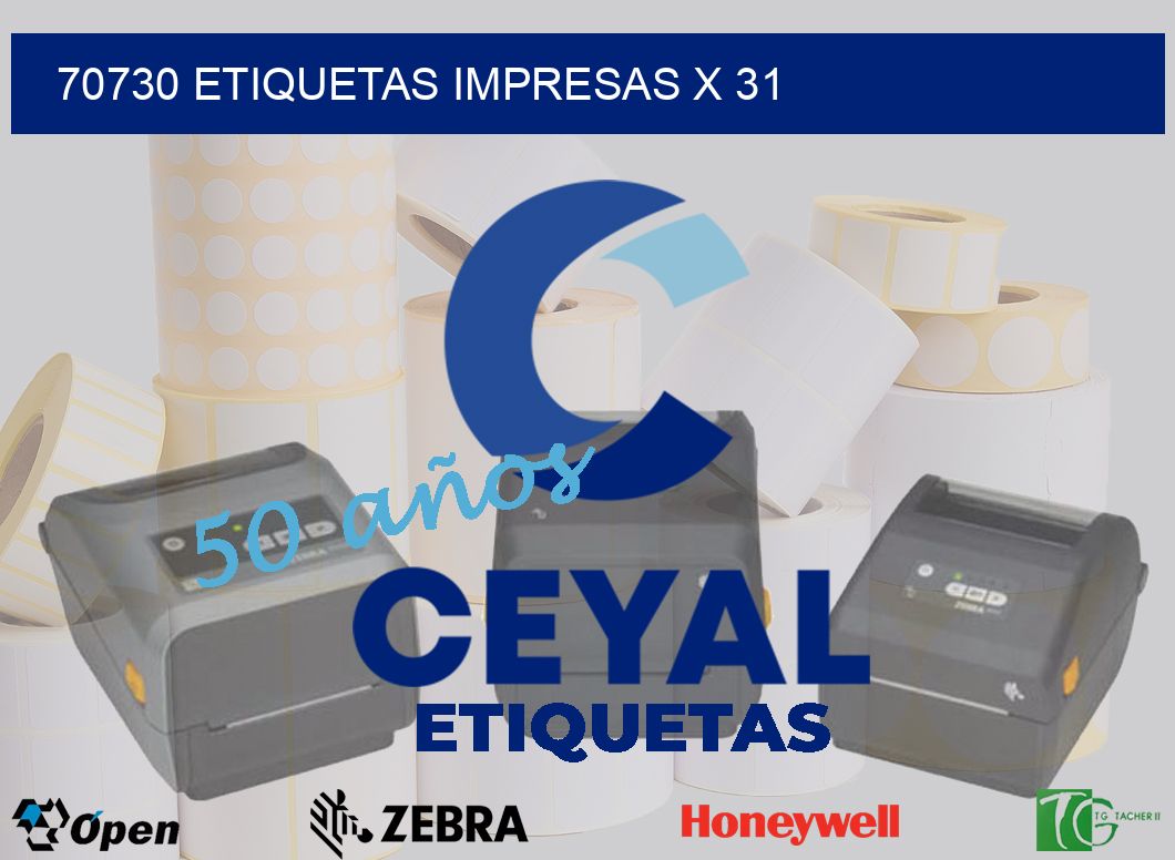 70730 Etiquetas impresas x 31