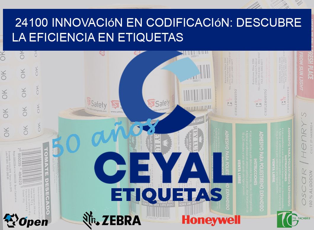24100 Innovación en Codificación: Descubre la Eficiencia en Etiquetas