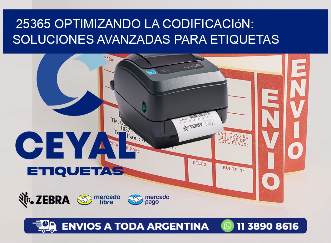 25365 Optimizando la Codificación: Soluciones Avanzadas para Etiquetas