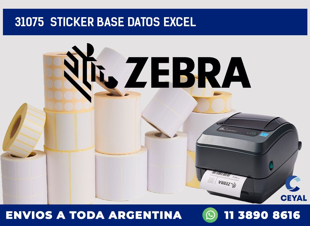 31075  sticker base datos excel