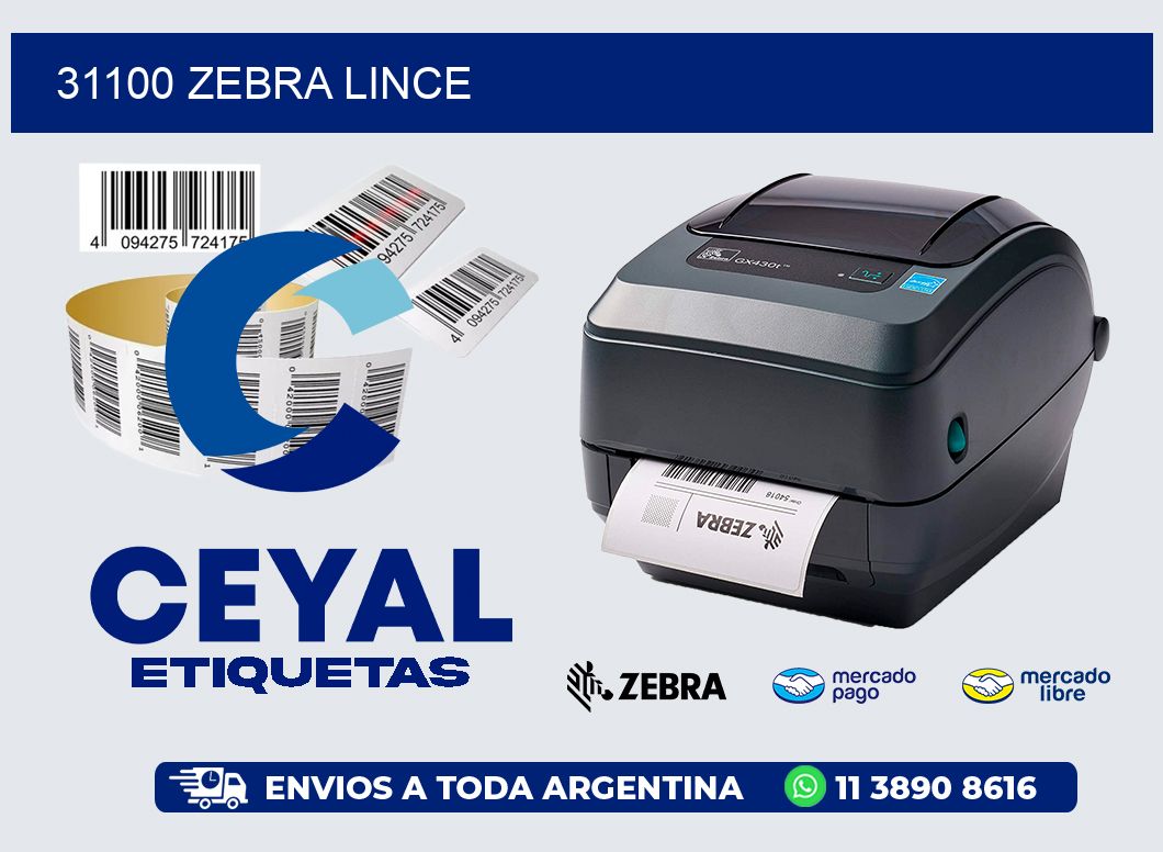 31100 ZEBRA LINCE