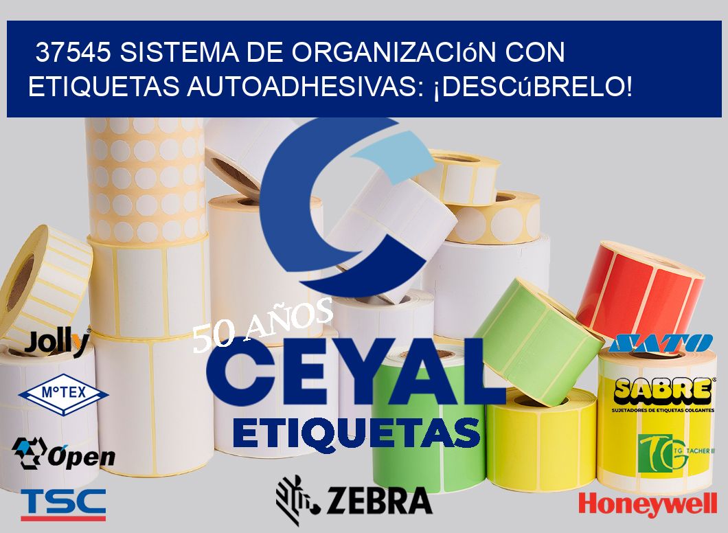 37545 Sistema de Organización con Etiquetas Autoadhesivas: ¡Descúbrelo!