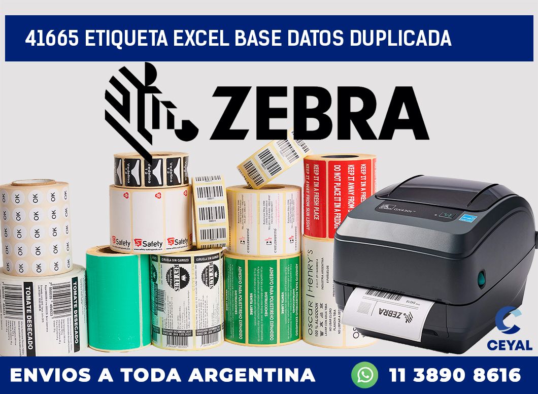 41665 etiqueta excel base datos duplicada