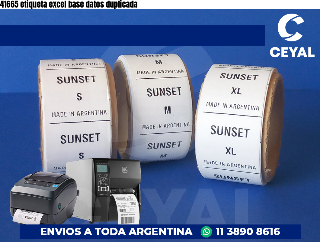 41665 etiqueta excel base datos duplicada
