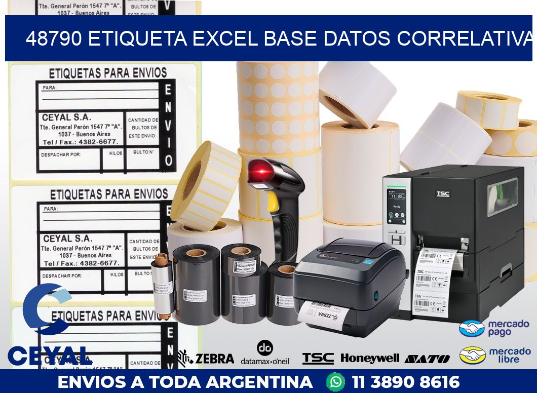 48790 etiqueta excel base datos correlativa