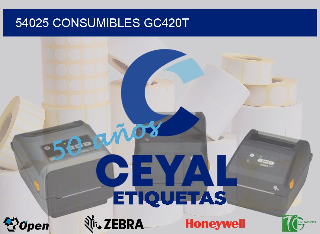 54025 CONSUMIBLES GC420T