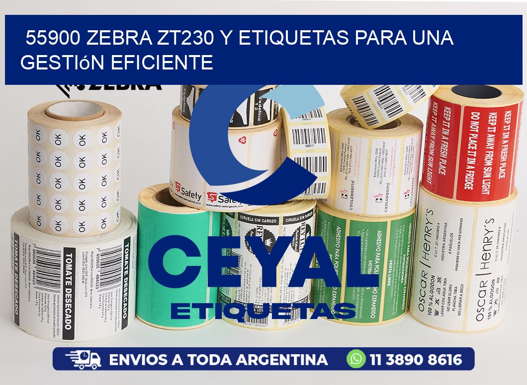 55900 Zebra ZT230 y Etiquetas para una Gestión Eficiente