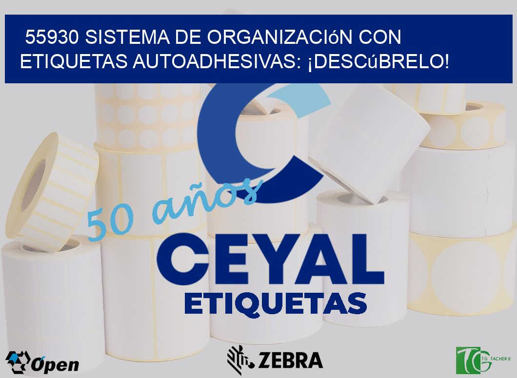 55930 Sistema de Organización con Etiquetas Autoadhesivas: ¡Descúbrelo!